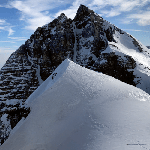 Punto la cima bianca