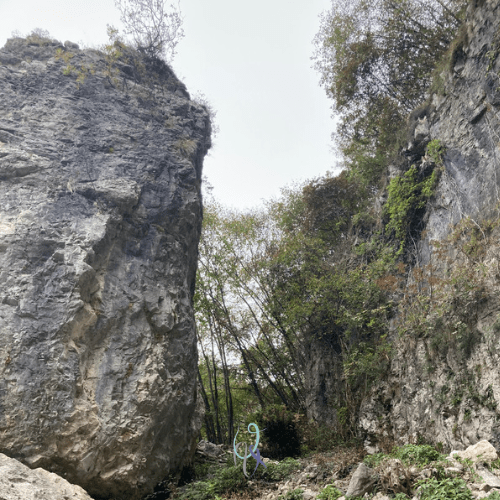 Una falesia a&nbsp;sorpresa