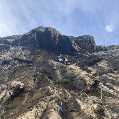 via La tigre del ribaltabile