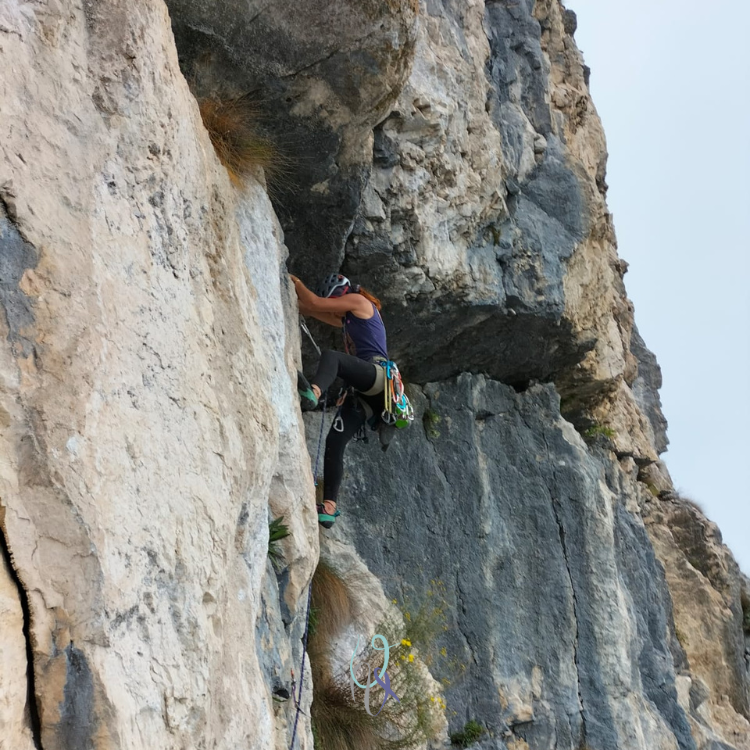 I Fiori della Cicuta, le discussioni e l’arrampicata libera