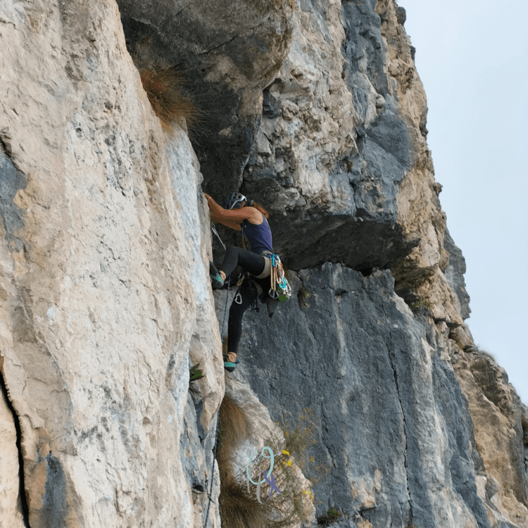 Via I fiori della cicuta