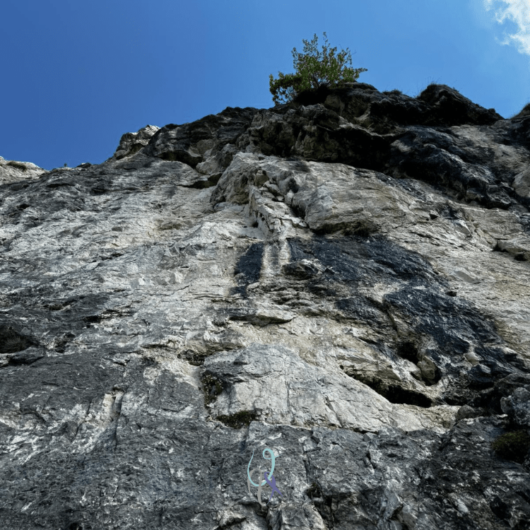 Via El gnaro del cuco