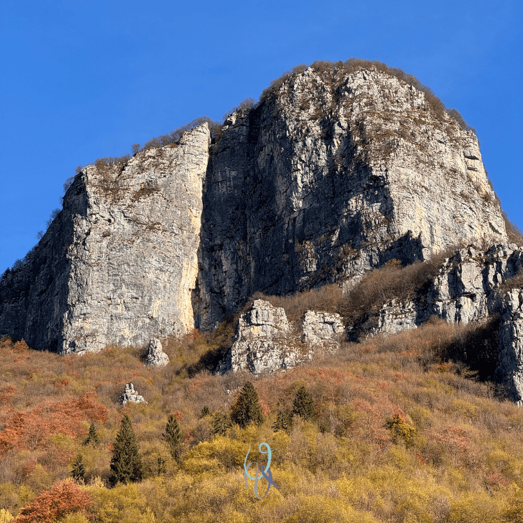 Ci vuole delicatezza, nonostante tutto: Psychiatric Circus al Tormeno